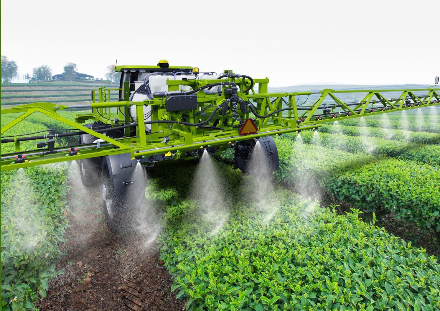Drivers of Competitiveness for Agribusiness in South Asia