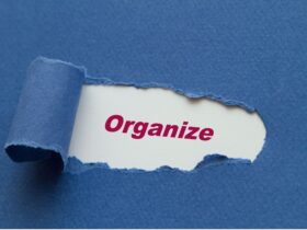 Organizing is critical in Agribusiness and Business Management