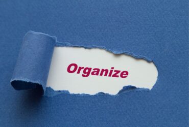 Organizing is critical in Agribusiness and Business Management