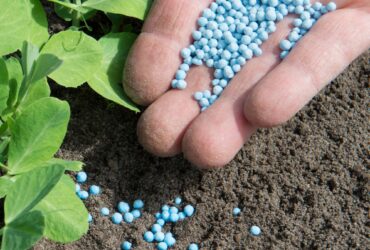 Nano fertilizers