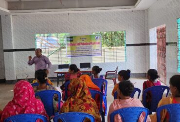 Quality rice seed production and preservation training