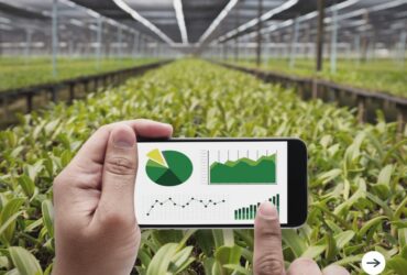 What is Smart Agribusiness?