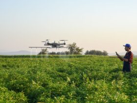 Smart Farming: the Future of Agribusiness
