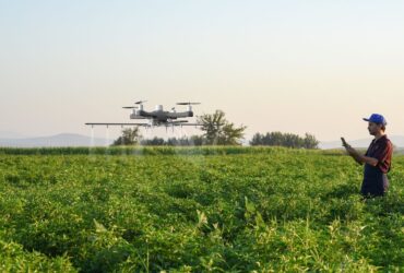 Smart Farming: the Future of Agribusiness