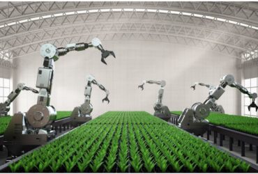 Agribusiness importance for fourth industrial revaluation