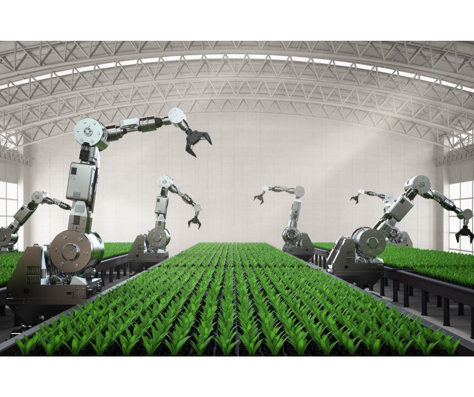 Agribusiness importance for fourth industrial revaluation