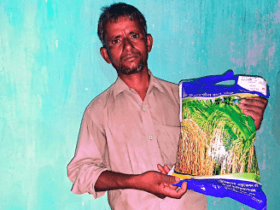 Process of Rice Seed Business Startup in Bangladesh