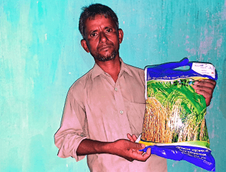 Process of Rice Seed Business Startup in Bangladesh