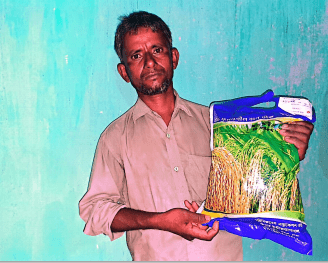 Process of Rice Seed Business Startup in Bangladesh