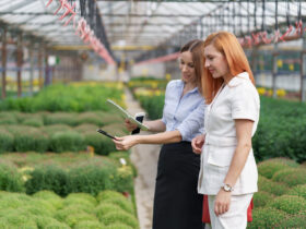 Agro Related New Business Ideas