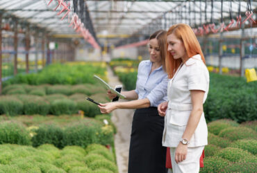 Agro Related New Business Ideas