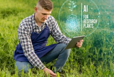 Agribusiness Agricultural Practice and 4IR