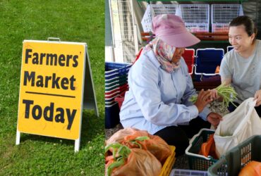 Factors Affecting the Cost of Agricultural Marketing