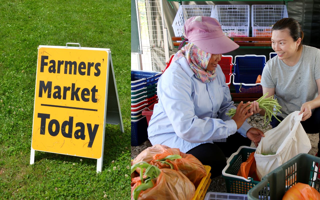 Factors Affecting the Cost of Agricultural Marketing
