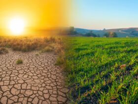 What is climate-smart agriculture (CSA)?