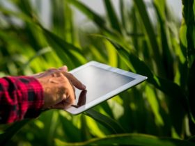 Revolutionizing Agriculture The Impact of Form Builders on Farm Data Management