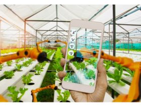 What is the impact of artificial intelligence (AI) on agriculture?