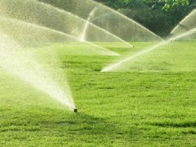 What does a professional sprinkler repair service cover?