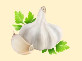 From Garden to Table: Growing Your Own Garlic at Home