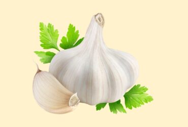From Garden to Table: Growing Your Own Garlic at Home