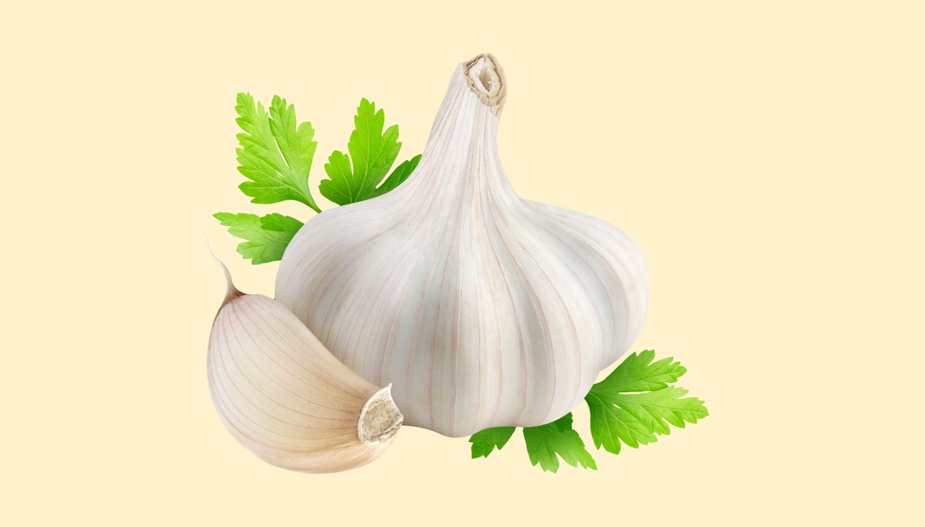 From Garden to Table: Growing Your Own Garlic at Home