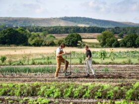 regenerative agriculture