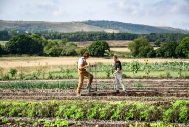 regenerative agriculture