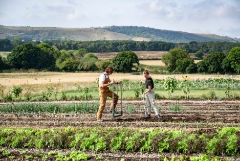 regenerative agriculture