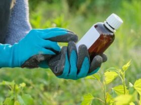 Smart Gel Fertilizer