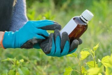 Smart Gel Fertilizer