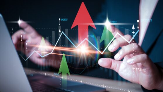 Agribusiness Economics