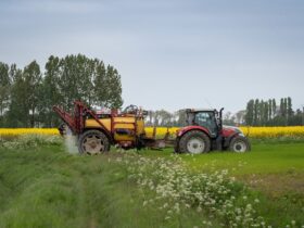 Ag News