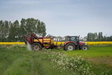 Ag News