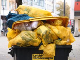Professional Junk Removal Service