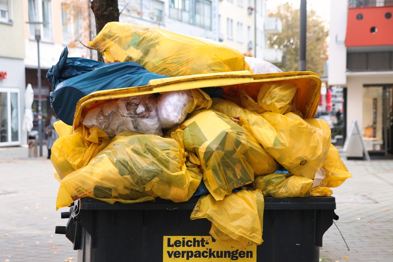 Professional Junk Removal Service