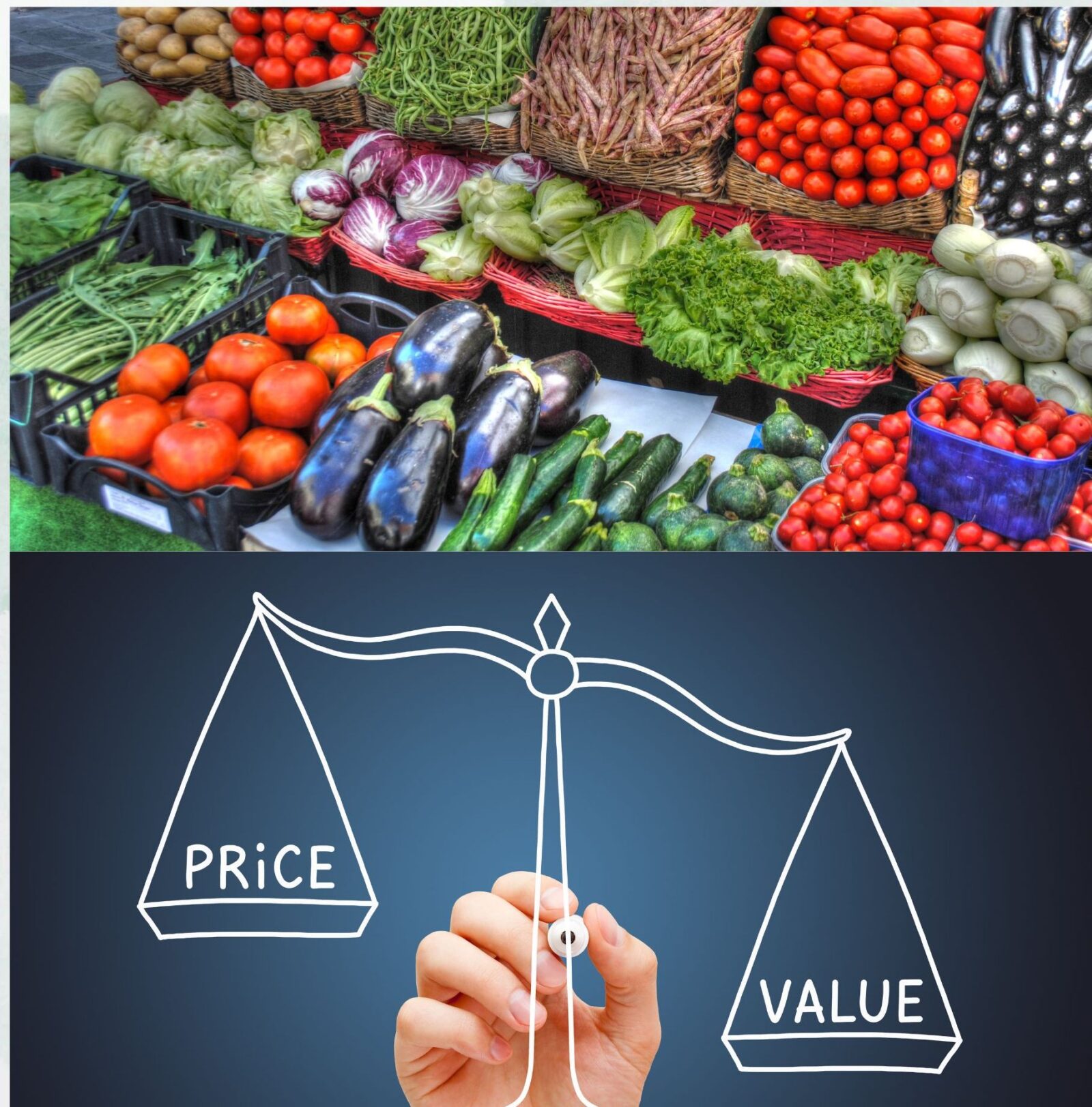 Value Addition in Vegetables A Strategy to Minimize Farmers' Losses in Bangladesh