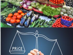 Value Addition in Vegetables A Strategy to Minimize Farmers' Losses in Bangladesh