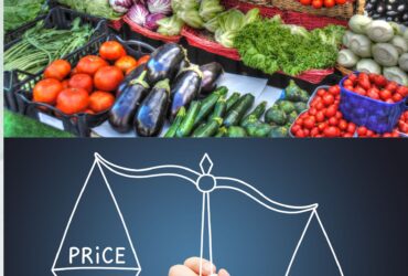 Value Addition in Vegetables A Strategy to Minimize Farmers' Losses in Bangladesh
