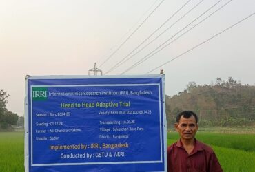 Modern Rice Varieties